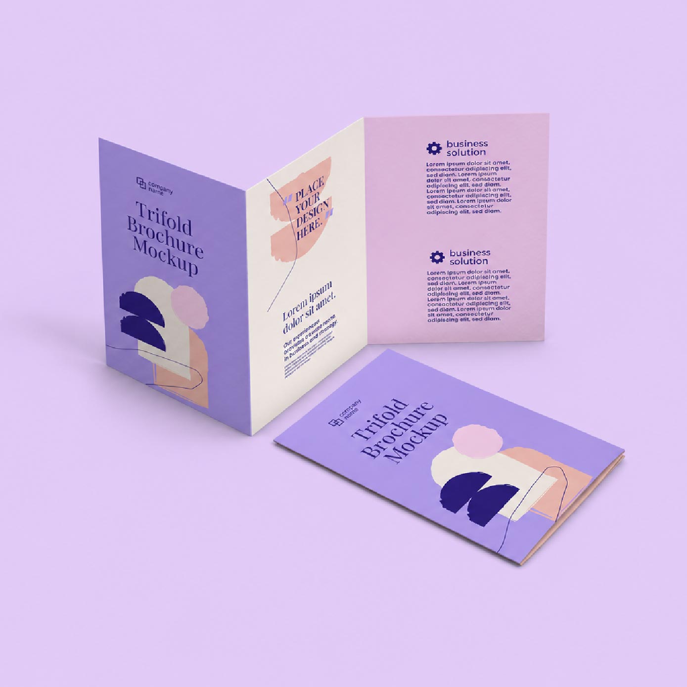 Folded Leaflet / Brochure